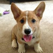 photograph by PeterW